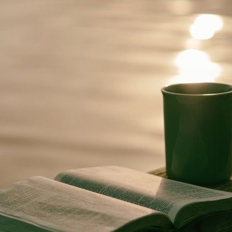 READING A BOOK ON A SUMMER DINNER