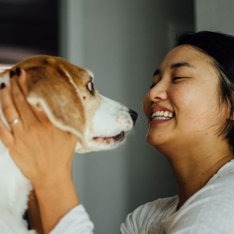 A DOG IS EVERYONE'S FRIEND