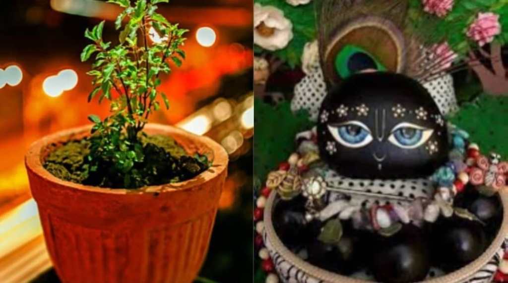 Another Reason to&nbsp;Celebrate!