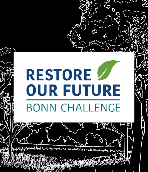 The Bonn Challenge: Restoring Our Planet One Hectare at a&nbsp;Time